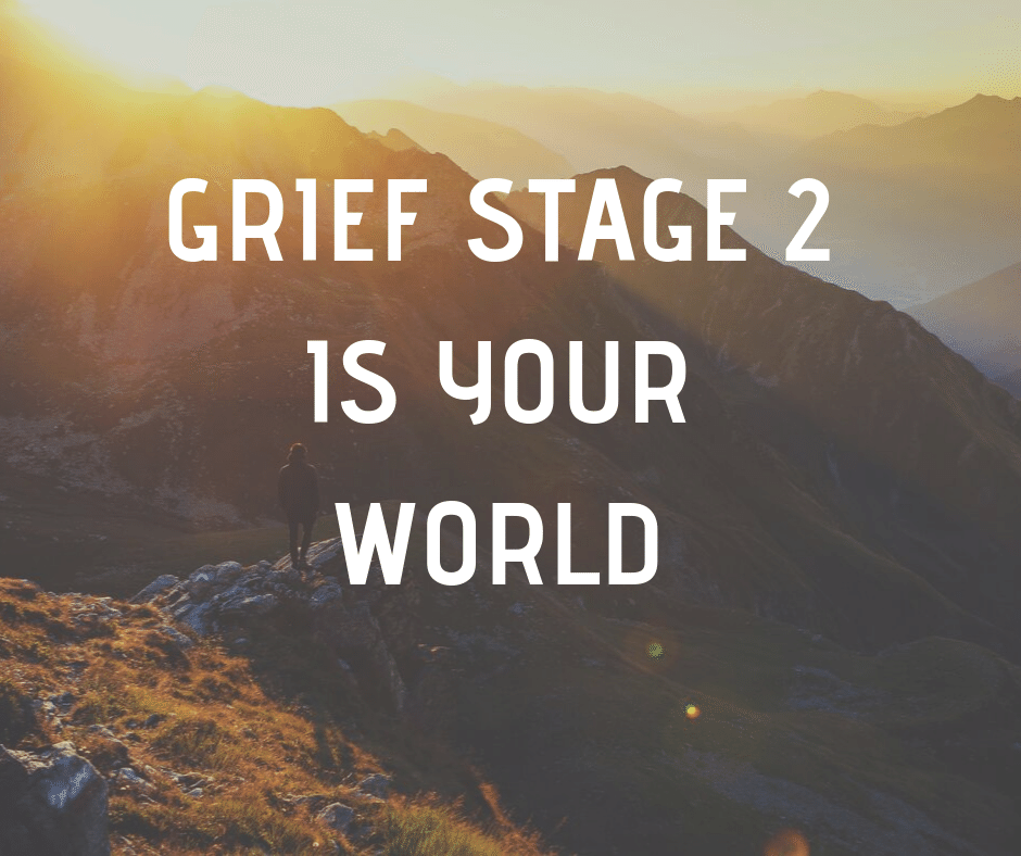 Grief Stage 2 is your world